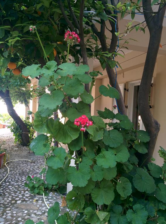Varagoulis Giannis & Lenas Apartments Paramónasz Kültér fotó